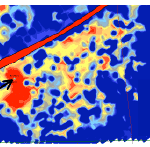 Self Organizing Map SOM - Attributes
