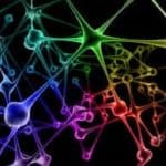 Thumbnail of colorful neurons