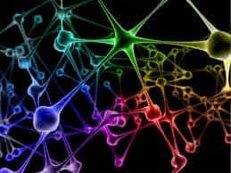 Thumbnail of colorful neurons