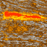 Using Self Organizing Maps to Expose Direct Hydrocarbon Indicators