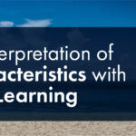 Seismic Interpretation of DHI Characteristics with Machine Learning