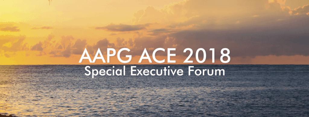 Banner image for AAPG ACE 2018 special executive forum