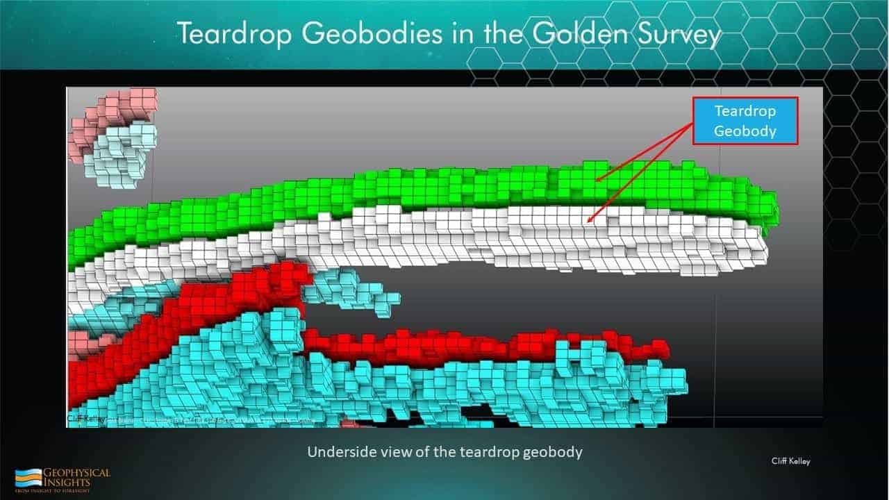 Slide image with teardrop geobody