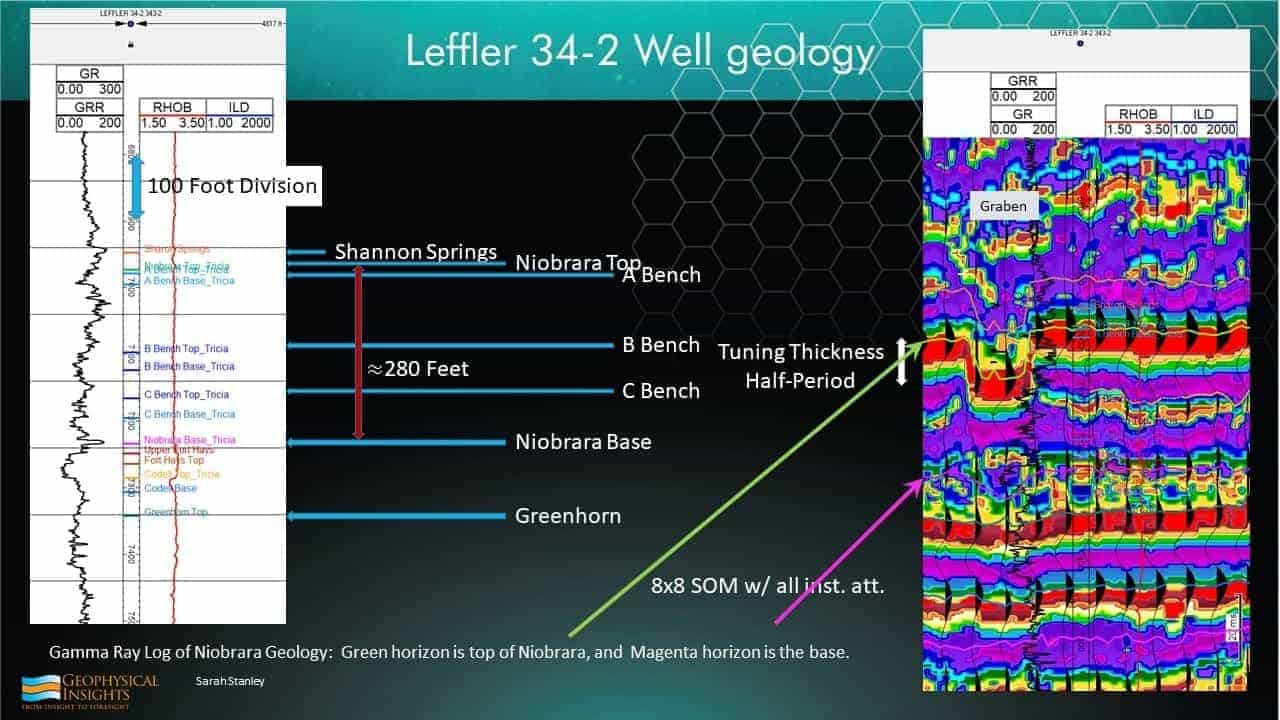 Slide with well geology and SOM