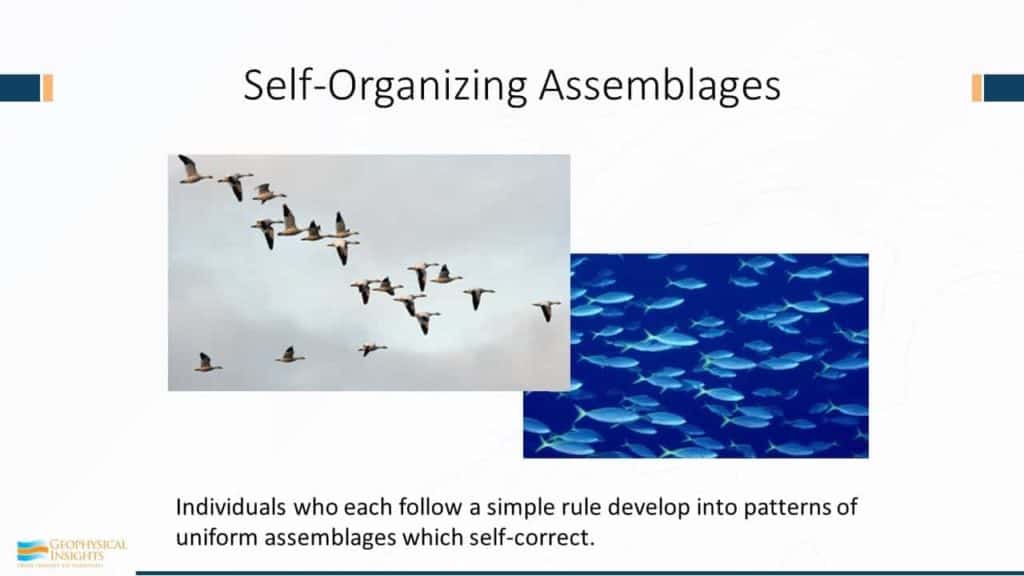 Image of self-organizing slide