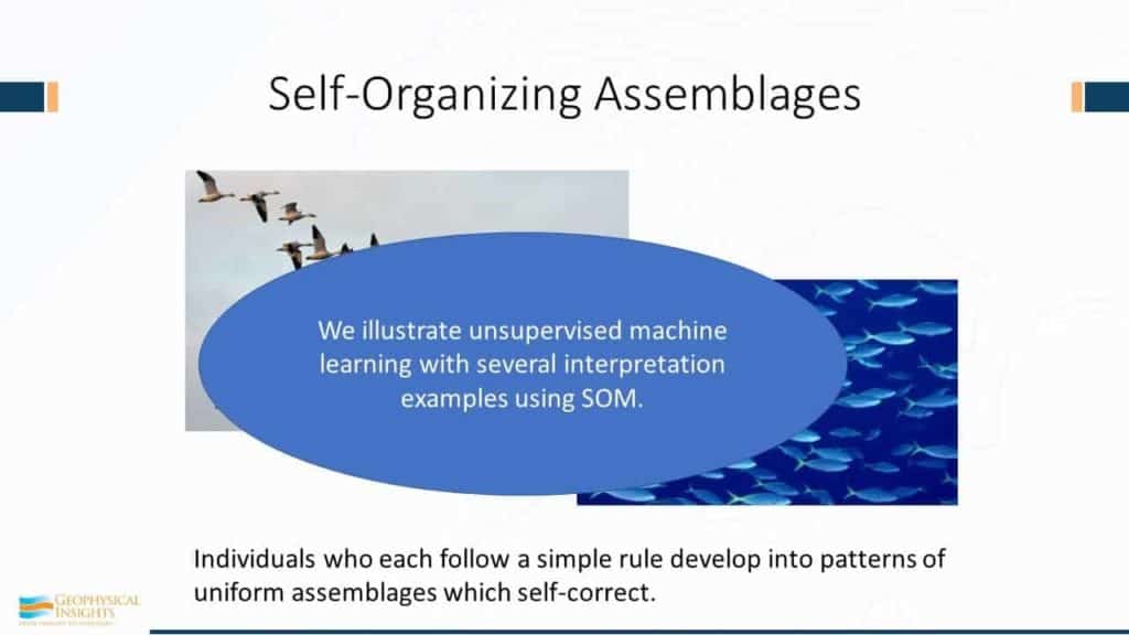 Annotated image of self-organizing slide
