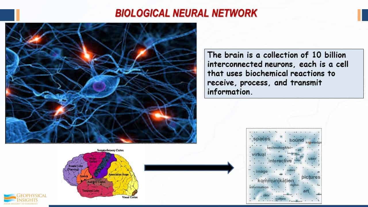 Slide image with neurons and brain diagram