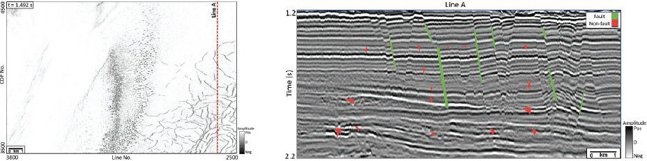 Image of a vertical slice from the field seismic amplitude data