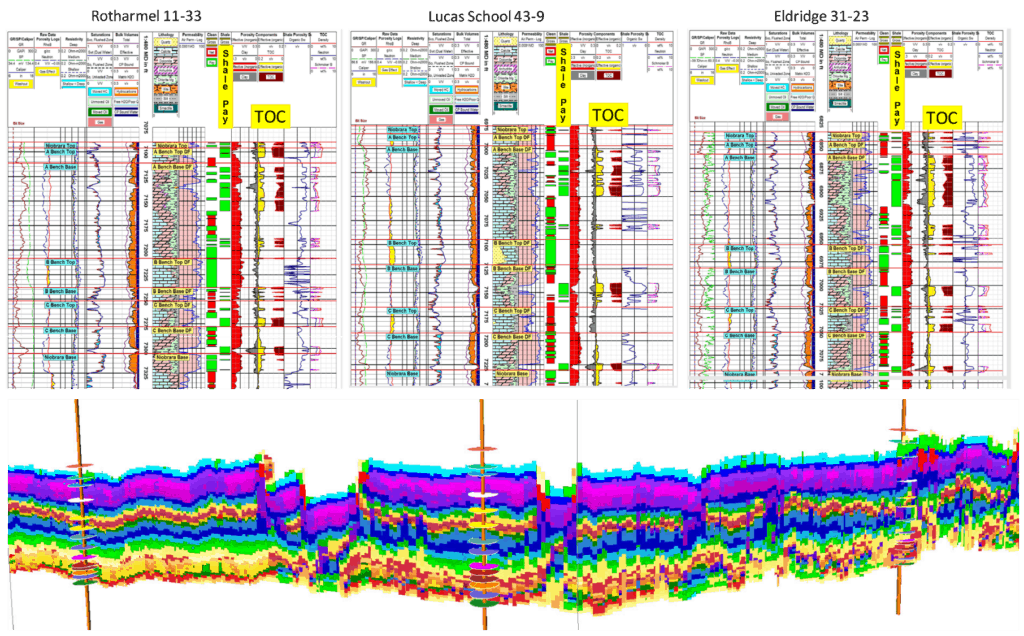 Petrophysical results and SOM