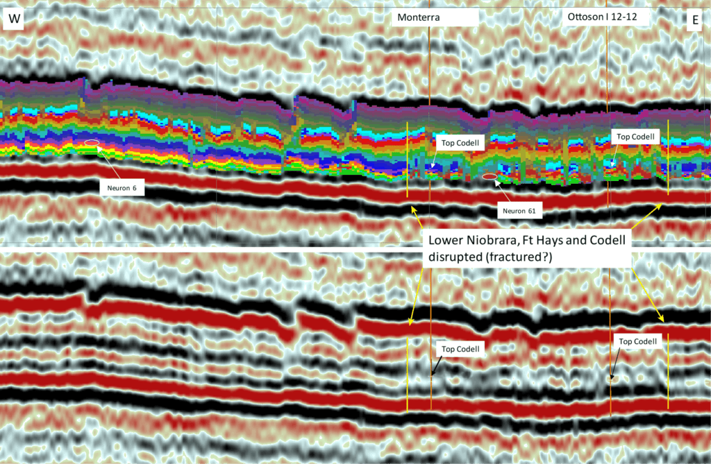 West-East crossline SOM and amplitude data