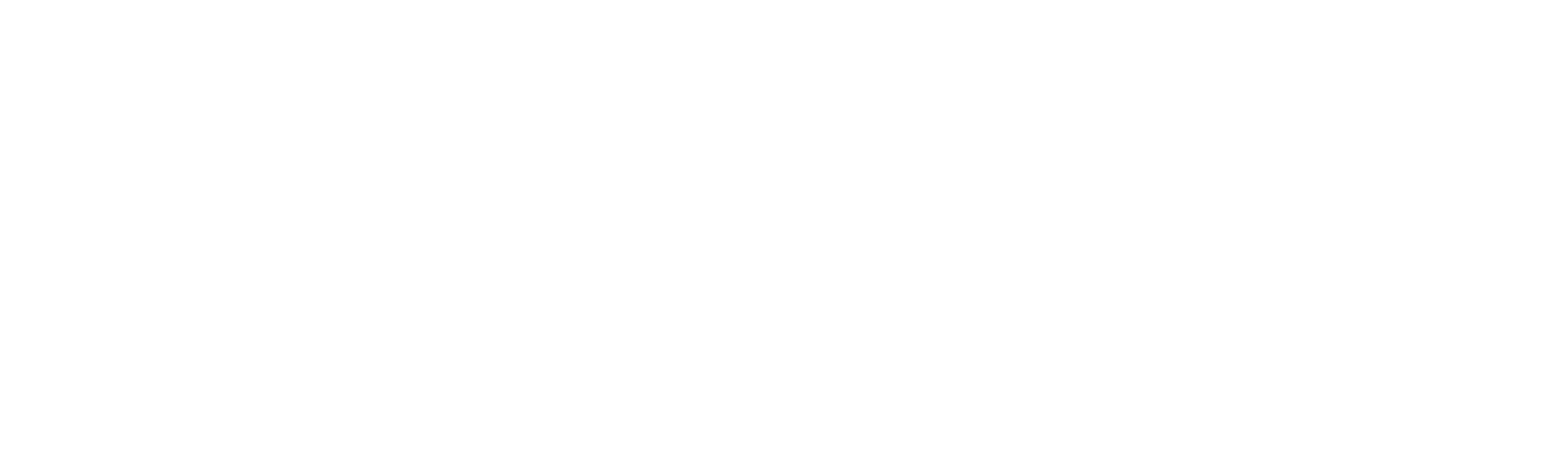 Paradise Logo