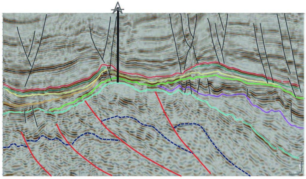 Dip line through the seismic survey to reveal the approximate structural setting of the field