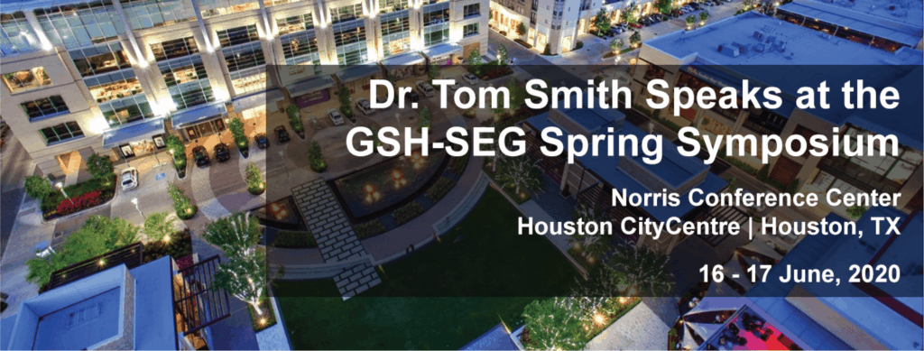 Geophysical Insights GSH Symposium 2020