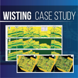 Wisting Case study Presentation Square Thumbnail