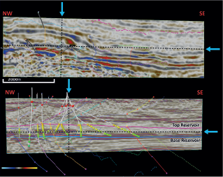 Seismic amplitude depth slice and cross line