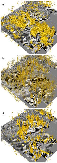 3-D paleokarst chimney tubes